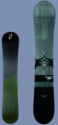 Elan Ascent