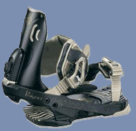 Salomon Poison